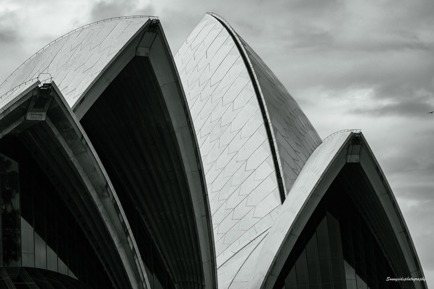 Opera Sails