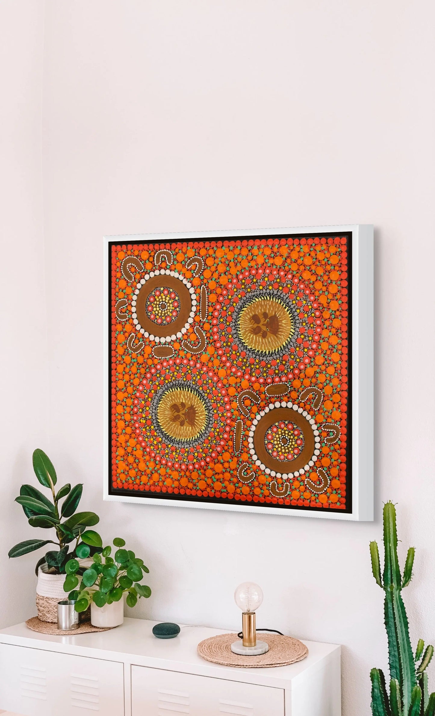 Kathleen Buzzacott - familiy hunting echidna 1797 Sonny Side Photography