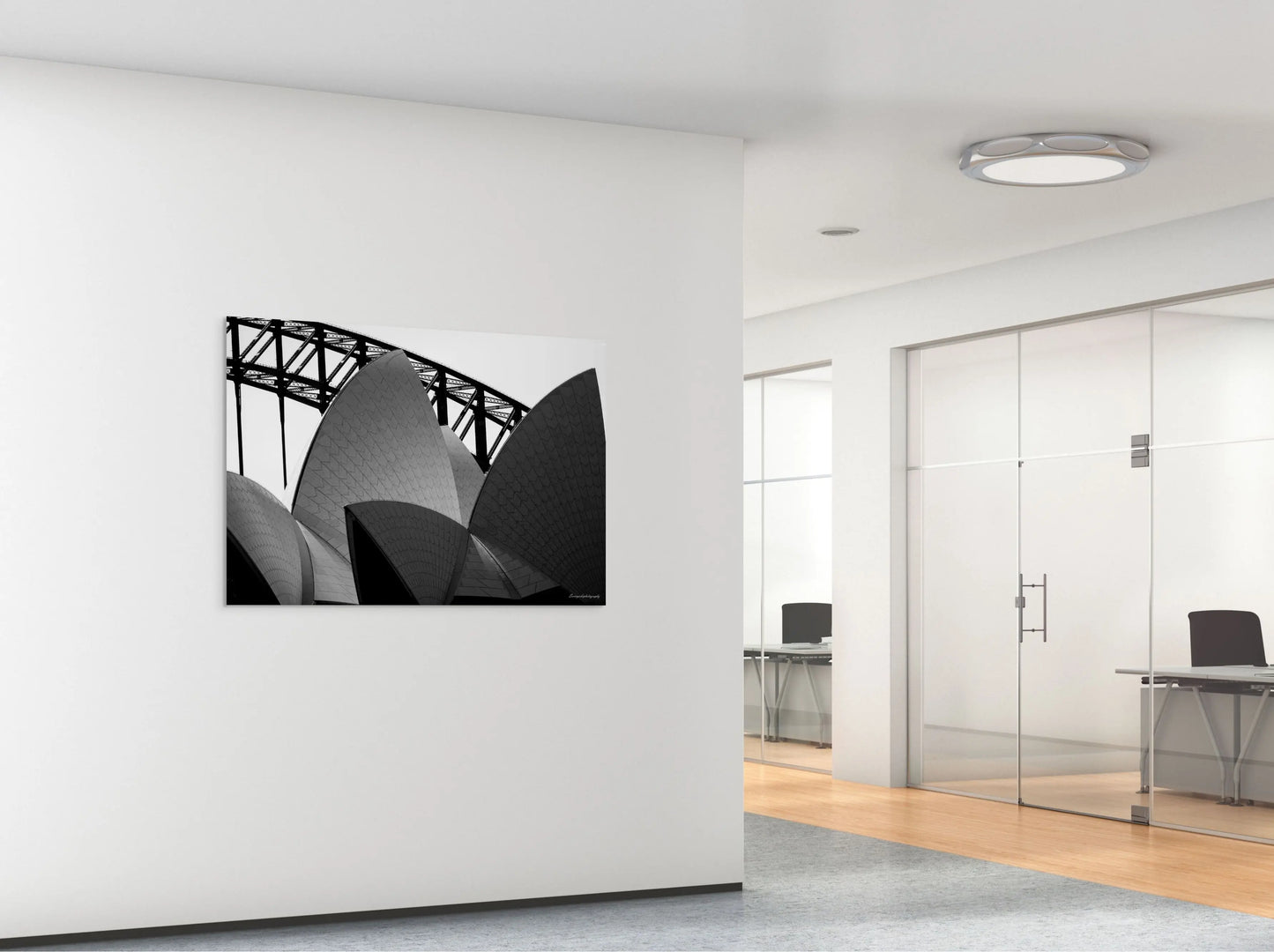 Sydney Sails Sonny Side Photography