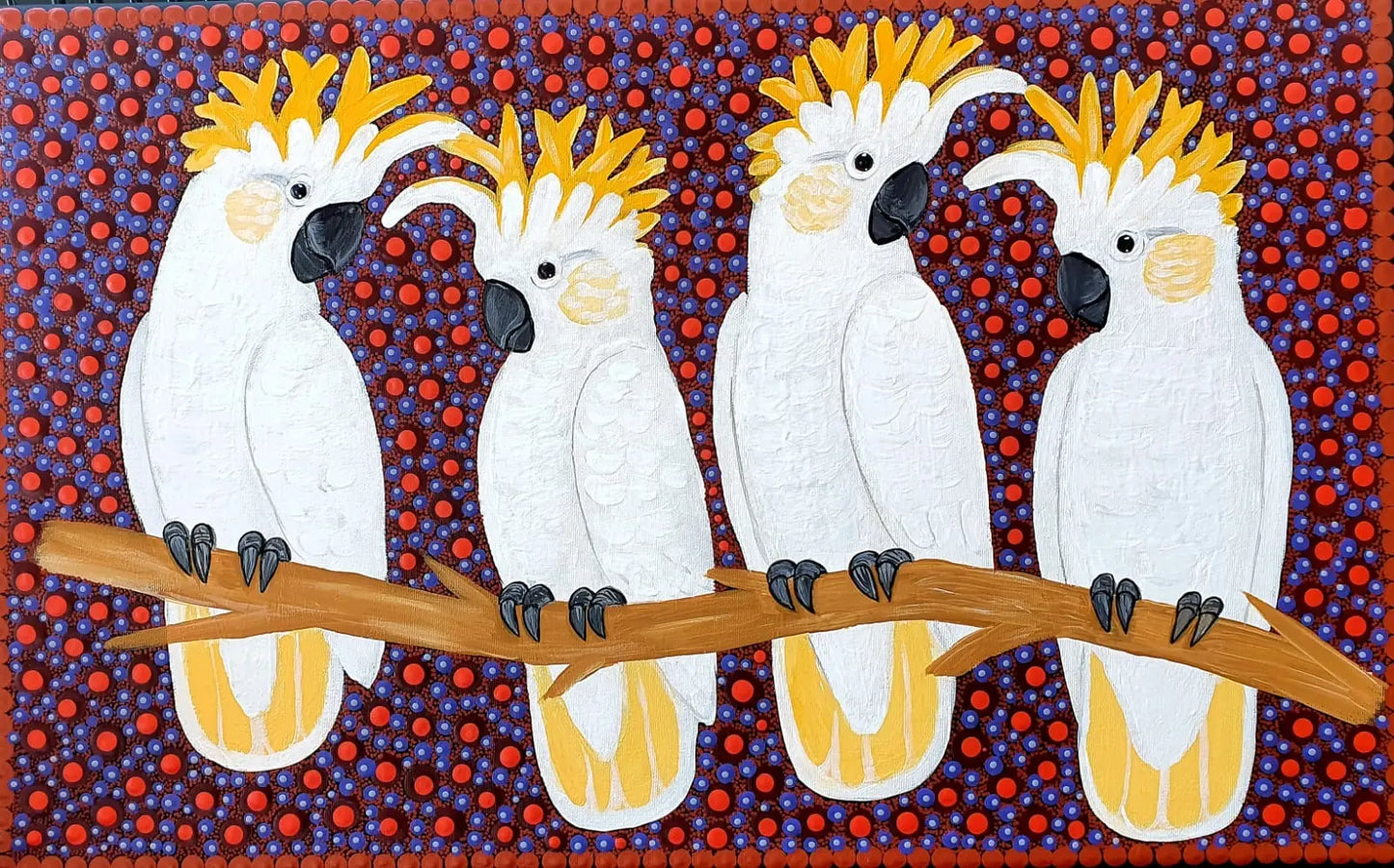 Kathleen buzzacott - Sulphur Crest Cockatoos Sonny Side Photography