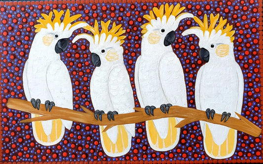 Kathleen buzzacott - Sulphur Crest Cockatoos Sonny Side Photography