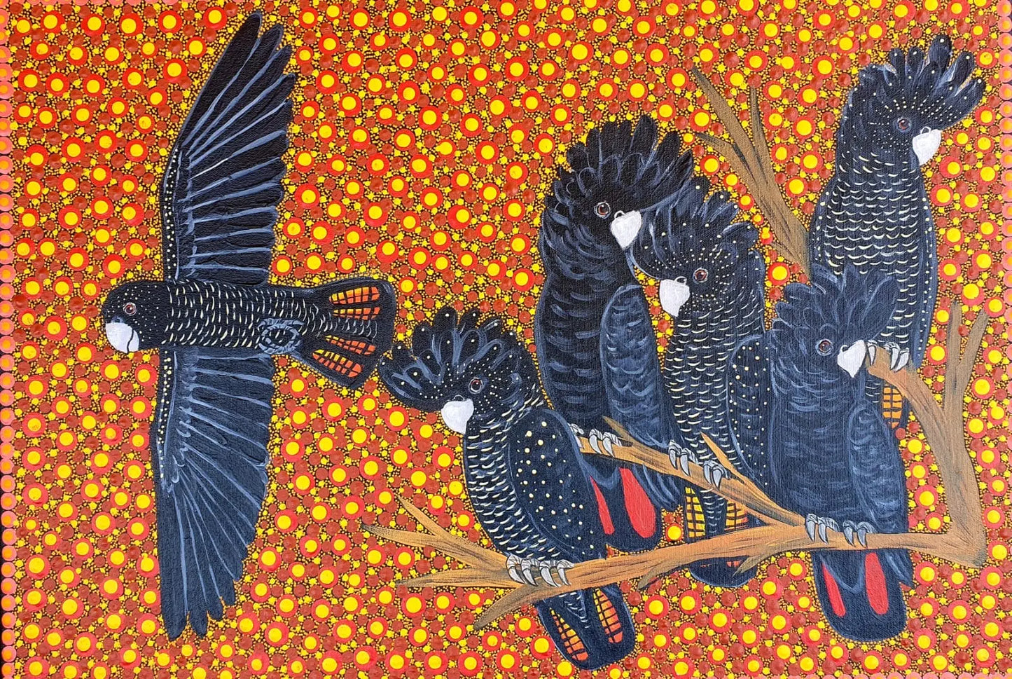 Kathleen buzzacott - Black Cockatoos Sonny Side Photography