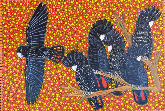 Kathleen buzzacott - Black Cockatoos Sonny Side Photography