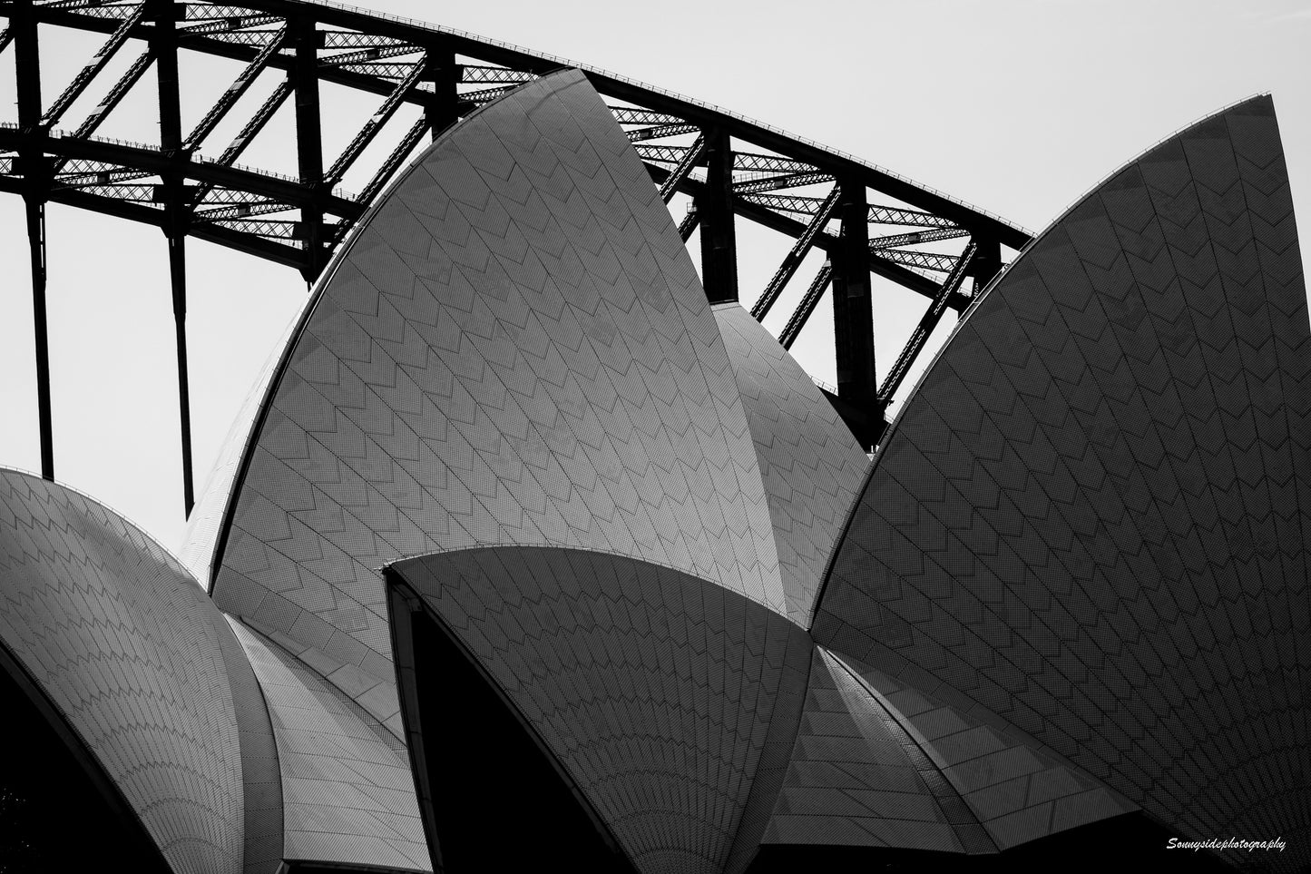 Sydney Sails