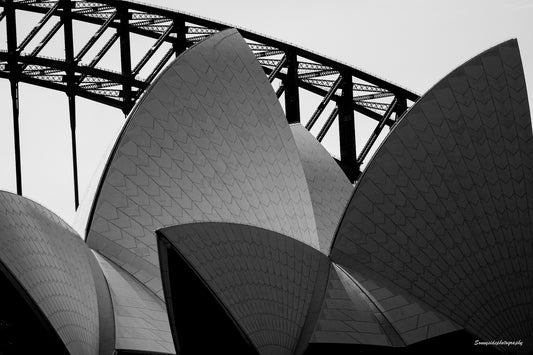Sydney Sails