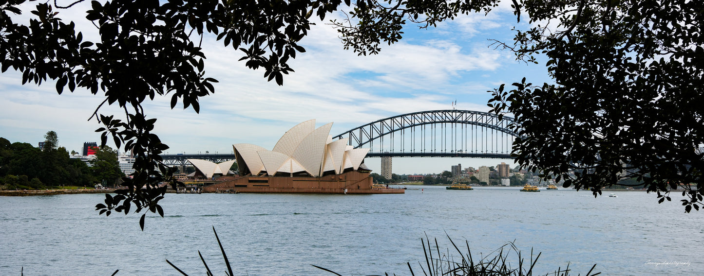 MACQUARIE'S MRS