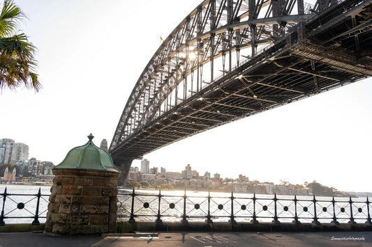 Morning Walks Sonny Side Photography