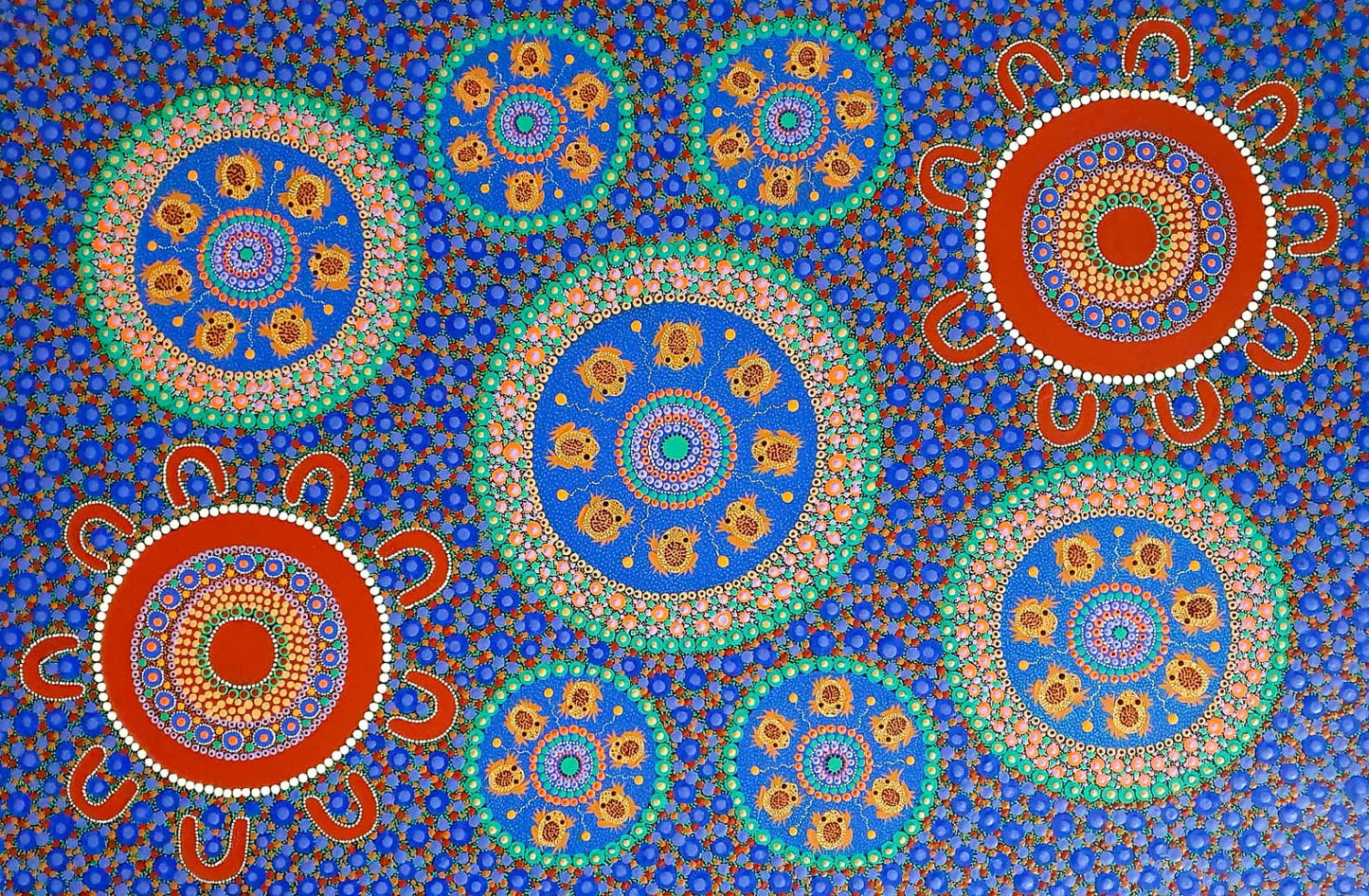 Kathleen buzzacott - Desert Frogs Sonny Side Photography